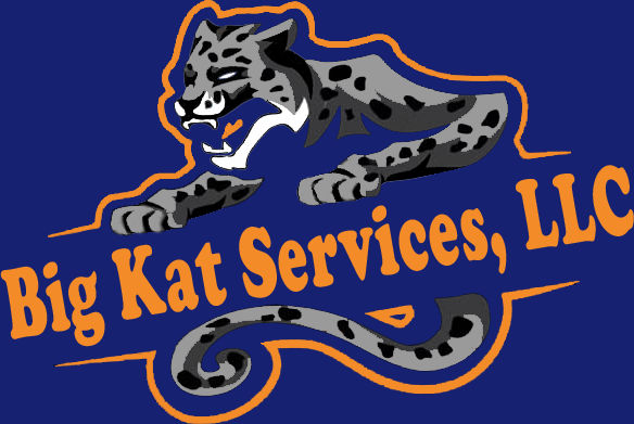Big Kat Services, LLC Pressure Washing